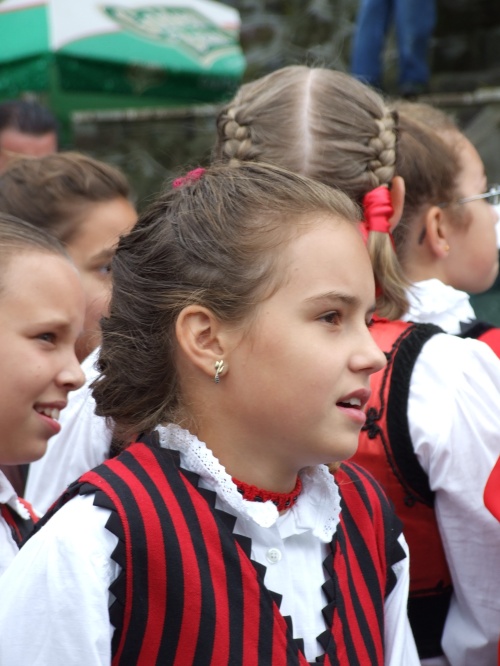 Componenta a unui ansamblu folcloric maghiar